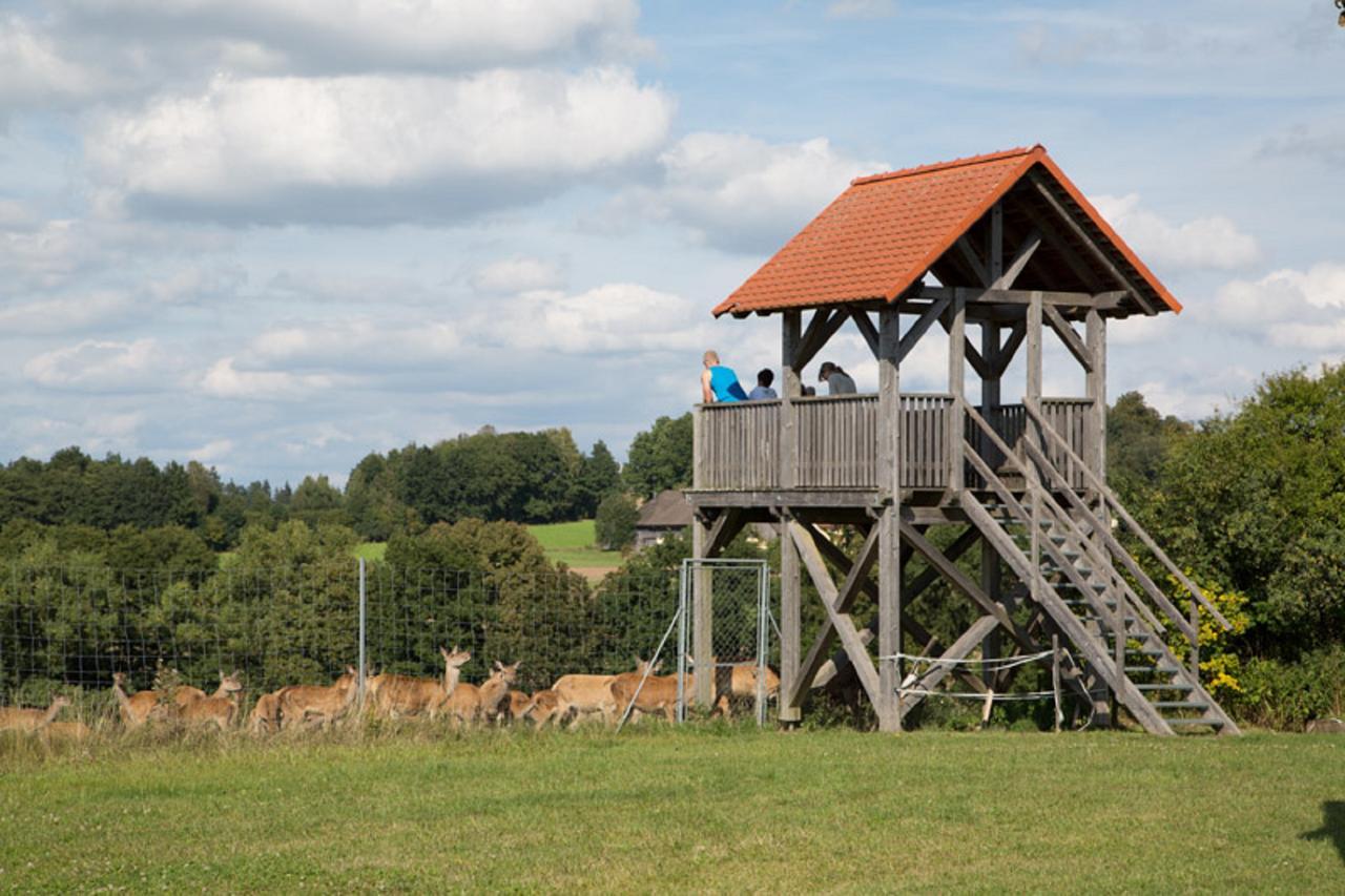 Scheidlerhof Διαμέρισμα Theisseil Εξωτερικό φωτογραφία